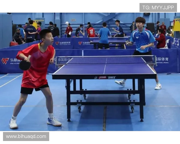 成都乒乓球队的崛起与发展之路探秘乒乓球运动的力量与魅力