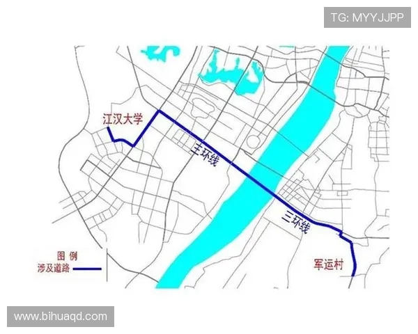 武汉排球队的个人能力分析与发展潜力探讨 武汉排球队的个人能力分析与发展潜力探讨