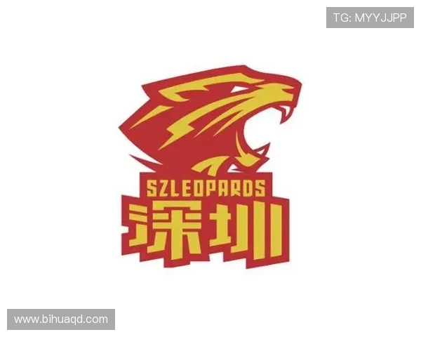 深圳篮球队引领最新篮球技术十大趋势解析 深圳篮球队引领最新篮球技术十大趋势解析