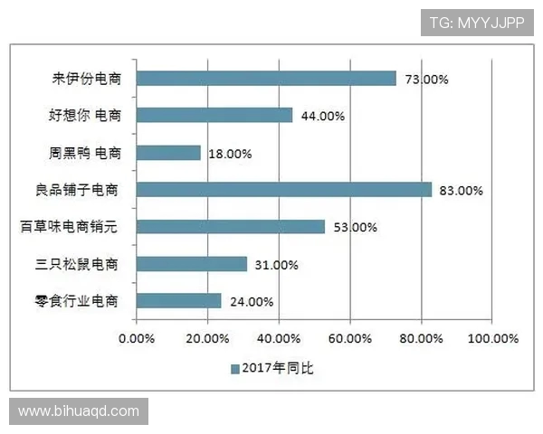 聚焦CSGOTES战队实力分析与未来发展展望