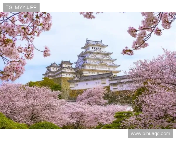 大阪樱花与冬季FC的激烈对决期待精彩瞬间与精彩进球的碰撞 大阪樱花与冬季FC的激烈对决期待精彩瞬间与精彩进球的碰撞