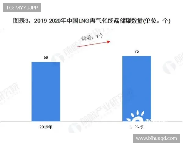 独家解析：LNG市场参与者心理素质的深度对比与影响分析
